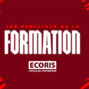 plan-de-travail-1-copie-6575f60f44599