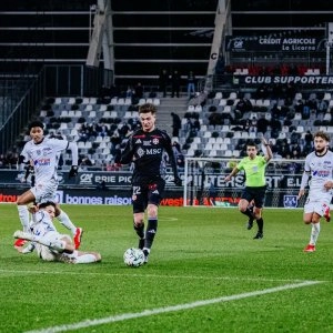 whatsapp-image-2025-01-31-at-22-36-12