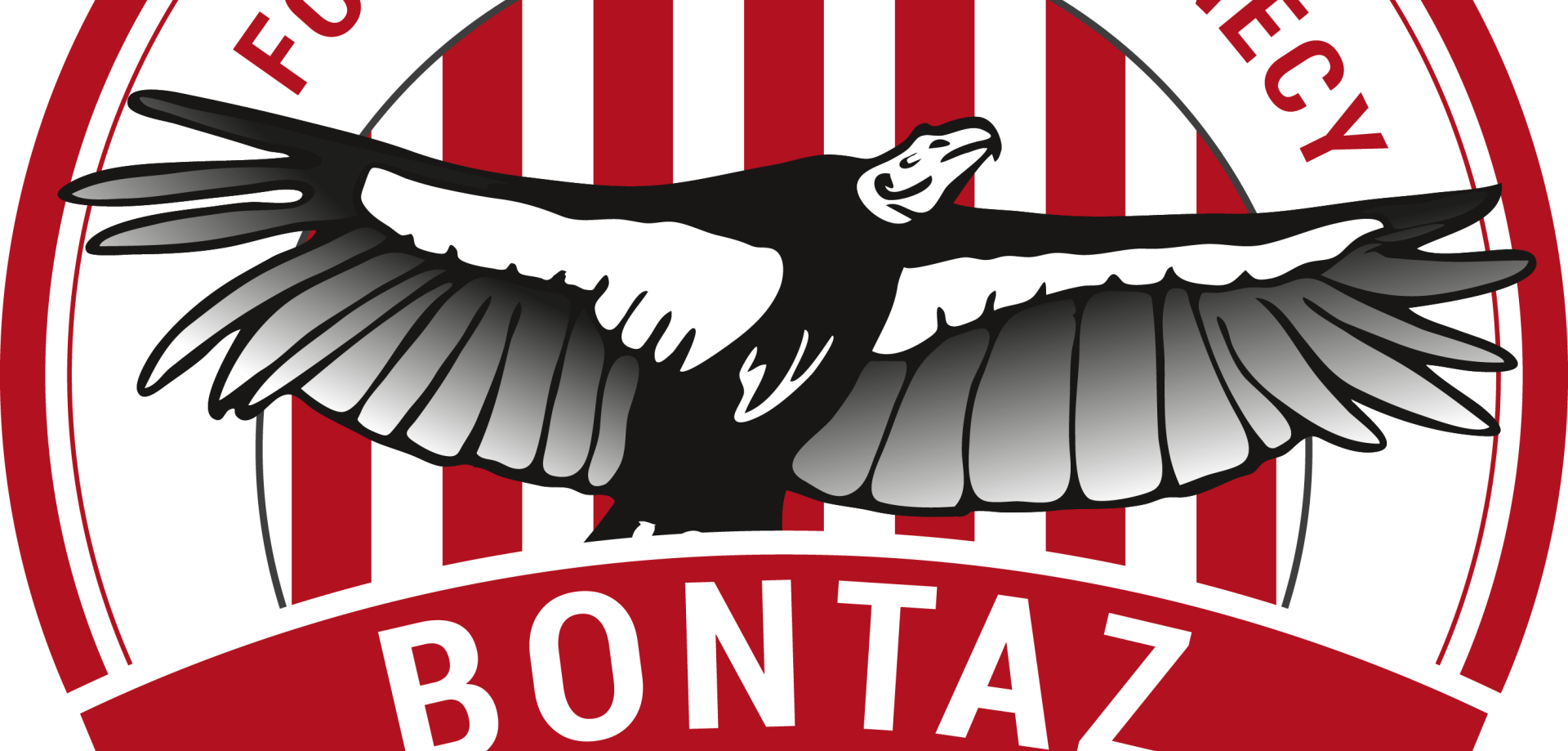 logo-bontaz-academy-2017