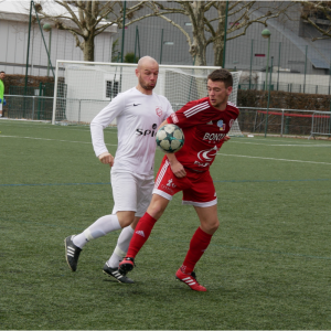 cox-tournier-vs-amphion