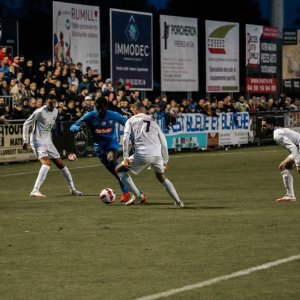 74429d9e-fd0f-462d-89cb-8e292a2ebbec