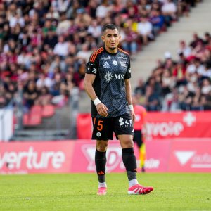 whatsapp-image-2025-05-10-at-17-44-43