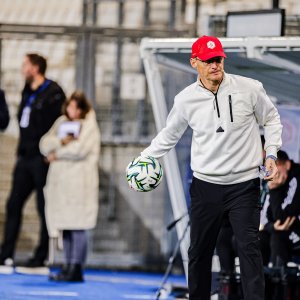 fmi-0842-67af519022b85