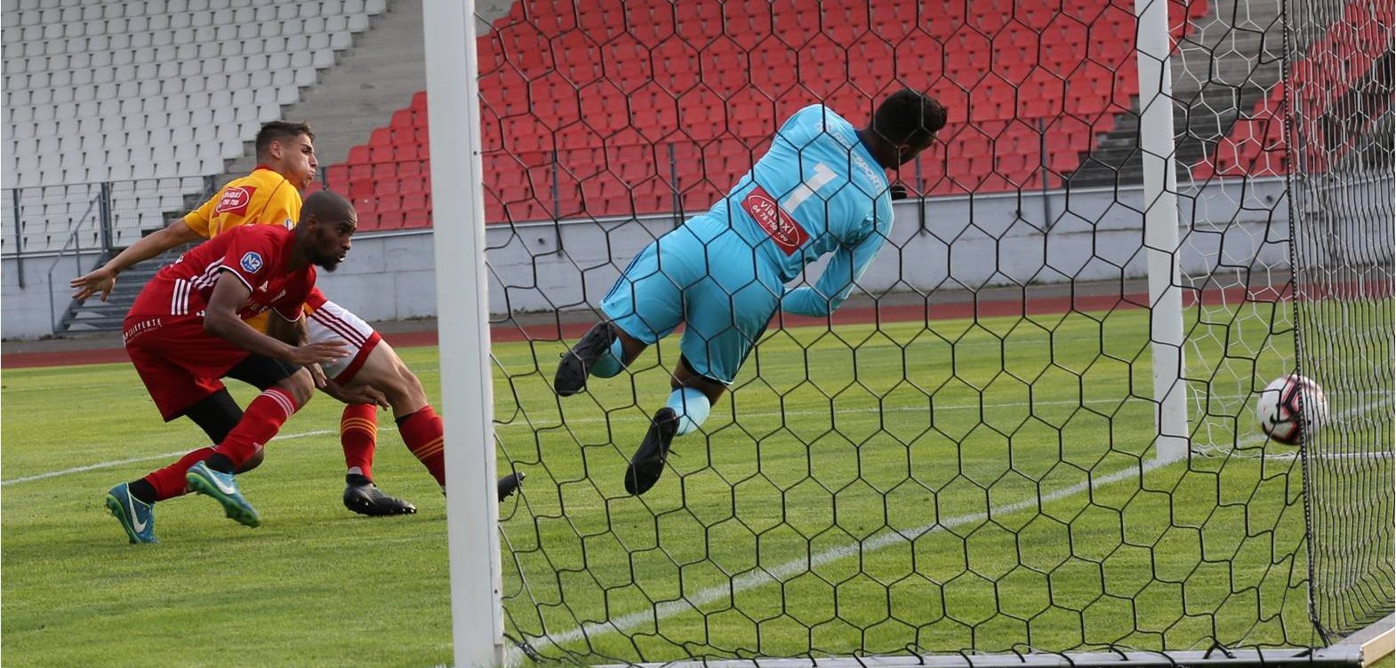 but-momo-2 but-momo-2