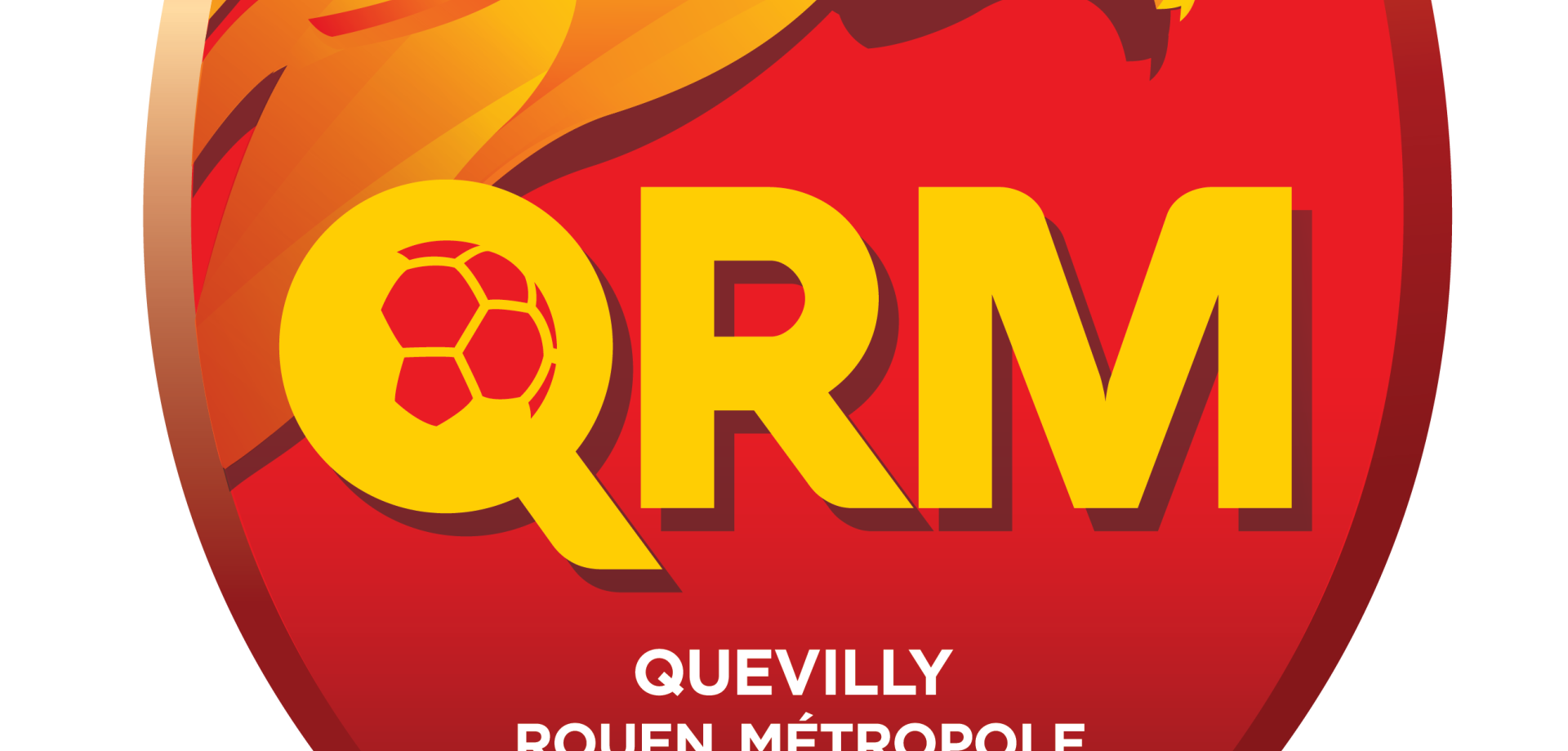 logo-qrm-png