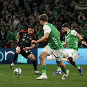 08f2e73b-73dc-4d50-80eb-a3623d691145