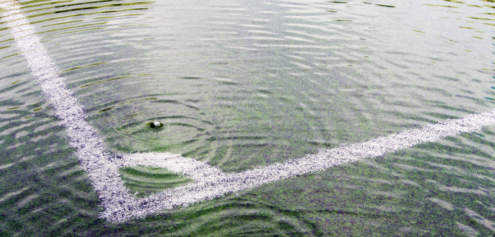 adobestock_218975481