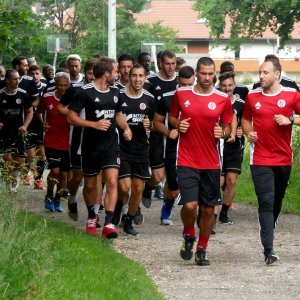 _copie-0__copie-0_reprise-groupe-n1